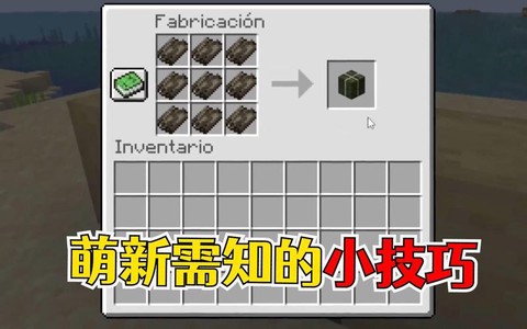 我的世界干海带有什么用