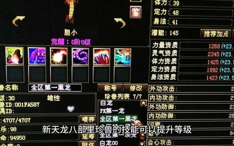 天龙八部怎么得珍兽[图1]