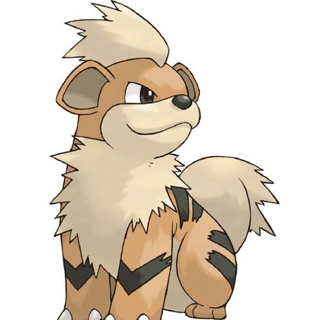 口袋妖怪卡蒂狗怎么进化[图2]