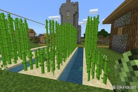 我的世界甘蔗怎么长得快[图1]