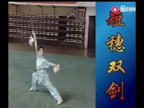 古剑奇谭双剑怎么打[图1]