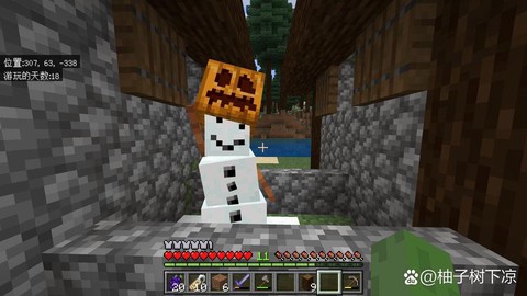 我的世界雪傀儡变异怎么做[图2]