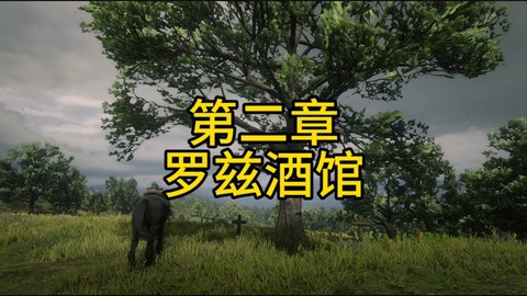 荒野大镖客私酒怎么得[图2]